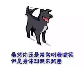 狗漫画,欢乐逗趣，温馨瞬间