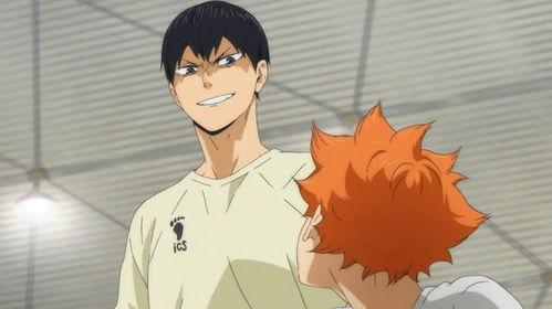 排球少年漫画网盘,网盘中的激情碰撞与青春梦想